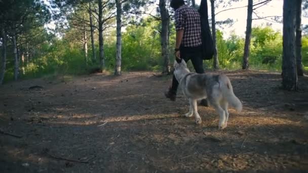 Homem Com Guitarra Andando Com Cão Husky Siberiano Floresta — Vídeo de Stock