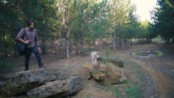 Hombre Con Guitarra Caminando Con Perro Husky Siberiano Bosque — Vídeos de Stock