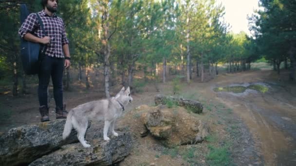 Hombre Con Guitarra Caminando Con Perro Husky Siberiano Bosque — Vídeos de Stock