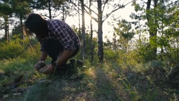 Uomo Escursionista Luogo Costruzione Falò Nella Foresta — Video Stock