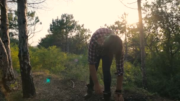 Wanderer Sammelt Brennholz Wald — Stockvideo