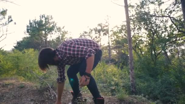 Hombre Excursionista Recogiendo Leña Bosque — Vídeo de stock