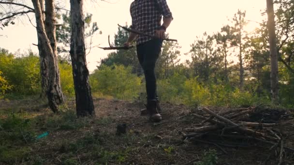 Hombre Excursionista Recogiendo Leña Bosque — Vídeos de Stock