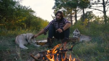 Sibirya husky köpekleri yakınındaki ormanda kamp ateşi ile günbatımı sırasında oturan adam