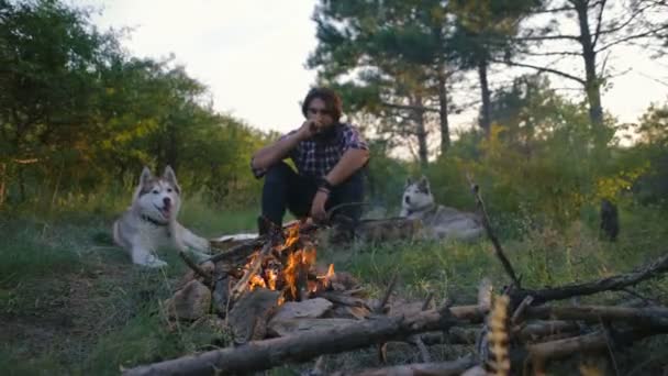 Mann Sitzt Bei Sonnenuntergang Mit Sibirischen Huskyhunden Lagerfeuer Wald — Stockvideo