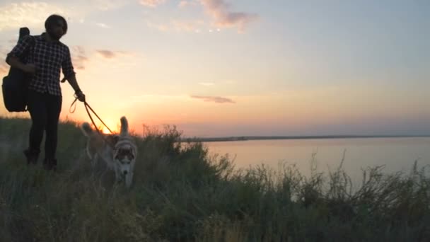 Uomo Con Chitarra Che Cammina Con Due Cani Husky Siberiani — Video Stock