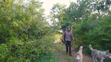 adam gitar ormandaki iki Sibirya husky köpek ile yürüme ile
