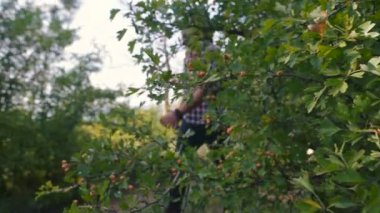 adam ormanda yürüyüş gitar ile