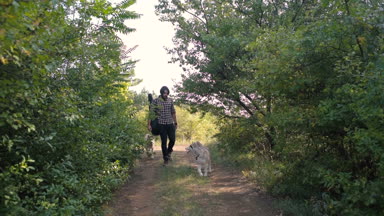 adam gitar ormandaki iki Sibirya husky köpek ile yürüme ile