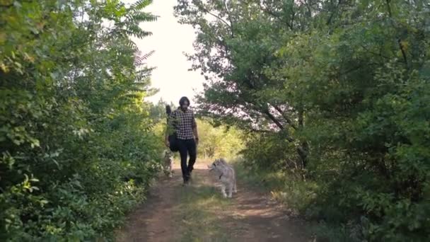 Mannen Med Gitarr Promenader Med Två Siberian Husky Hundar Skogen — Stockvideo