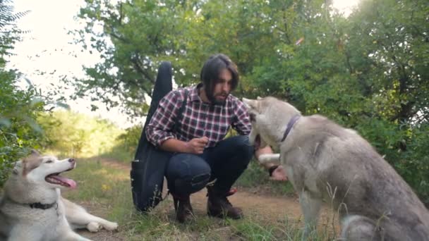 Muž Kytarou Hrát Dvěma Psy Sibiřský Husky Lese — Stock video