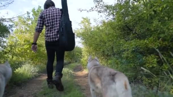 フォレスト内の つのシベリアン ハスキー犬と歩いてギターを持つ男 — ストック動画