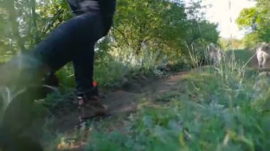 ormandaki iki Sibirya husky köpek ile yürüme bacakları hiking adamın fotoğrafını bot