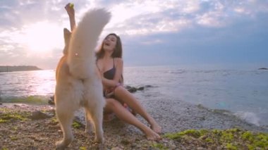 Husky köpekle oynamayı sahilde günbatımı veya gündoğumu sırasında genç güzel kadın