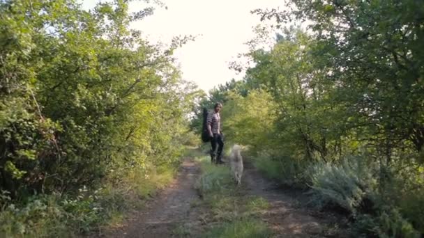 Homem Com Guitarra Andando Com Cão Husky Siberiano Floresta — Vídeo de Stock