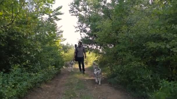 Hombre Con Guitarra Caminando Con Dos Perros Husky Siberianos Bosque — Vídeos de Stock