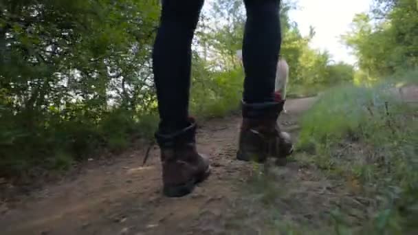 フォレスト内の つのシベリアン ハスキー犬とウォーキング ブーツのハイキングで男の脚のショット — ストック動画