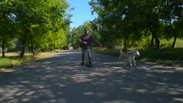 Άνθρωπος Στο Skate Σιβηρικό Γεροδεμένο Σκυλί Στο Πάρκο Πατινάζ Σκύλο — Αρχείο Βίντεο