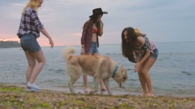 Üç kız sahilde Sibirya husky köpek ile eğleniyor. Köpek ile 4 Temmuz kutlama arkadaş
