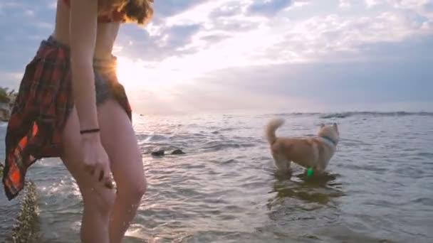 Giovane Bella Femmina Che Gioca Con Cane Husky Sulla Spiaggia — Video Stock