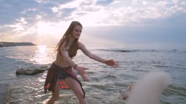 在日落或日出时 年轻漂亮的女子在海滩上玩沙哑的狗 — 图库视频影像
