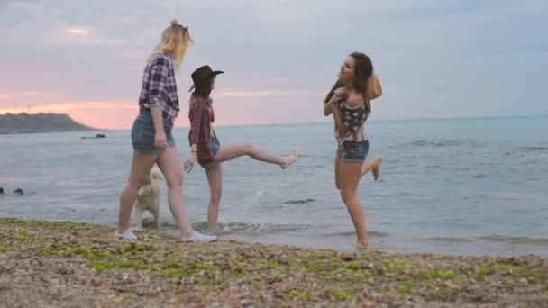 Trzy Dziewczyny Plaży Zabawy Psem Husky Syberyjski Przyjaciele Psem Okazji — Wideo stockowe