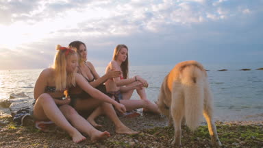 Üç kız sahilde Sibirya husky köpek ile eğleniyor. Köpek ile 4 Temmuz kutlama arkadaş