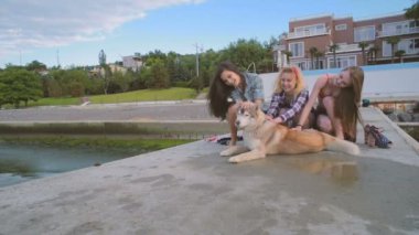 Üç kız sahilde Sibirya husky köpek ile eğleniyor. Köpek ile 4 Temmuz kutlama arkadaş