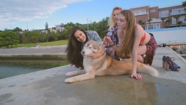 Três Meninas Praia Divertindo Com Cão Husky Siberiano Amigos Comemorando — Vídeo de Stock