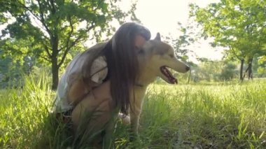 genç erkek Sibirya husky köpek park ile oynarken
