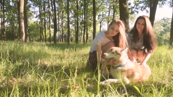 Meninas Brincando Com Cão Husky Siberiano Parque — Vídeo de Stock