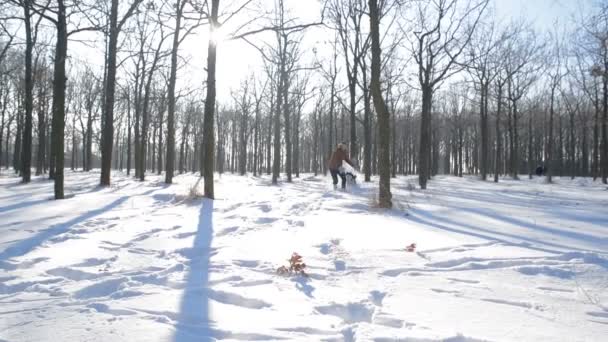 雪の降る公園でシベリアン ハスキー犬と遊ぶ男 — ストック動画