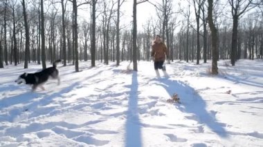 Sibirya husky köpek karlı Park ile oynarken adam