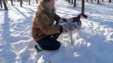 Sibirya husky köpek karlı Park ile oynarken adam