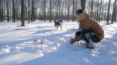 Sibirya husky köpek karlı Park ile oynarken adam