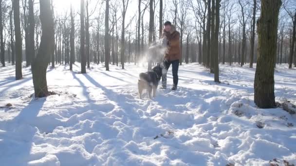 Man Spelar Med Siberian Husky Hund Snöig Park — Stockvideo