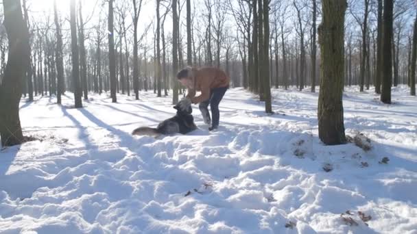 Mann Spielt Mit Sibirischem Husky Hund Verschneiten Park — Stockvideo