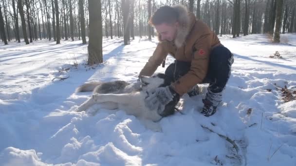 Uomo Che Gioca Con Cane Husky Siberiano Nel Parco Innevato — Video Stock
