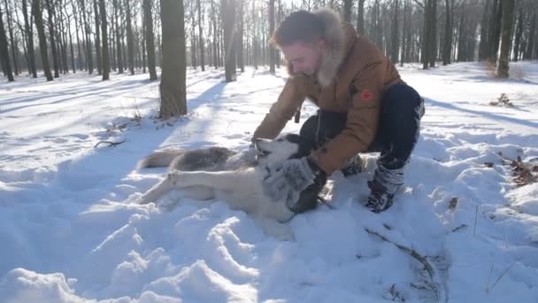 Man Spelen Met Siberische Husky Hond Besneeuwde Park — Stockvideo