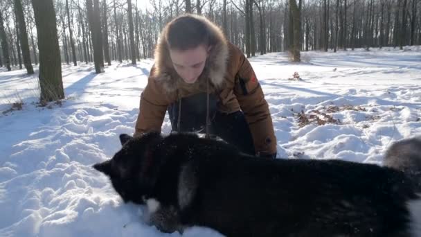 Mann Spielt Mit Sibirischem Husky Hund Verschneiten Park — Stockvideo