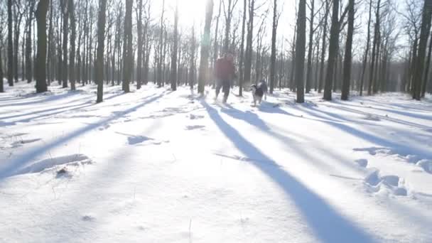 Uomo Che Gioca Con Cane Husky Siberiano Nel Parco Innevato — Video Stock