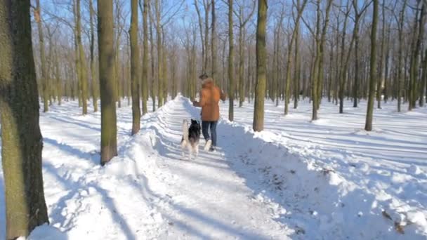 雪の降る公園でシベリアン ハスキー犬と遊ぶ男 — ストック動画