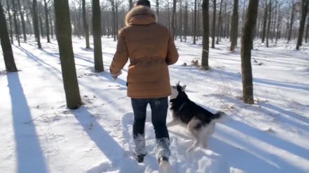 Man Spelen Met Siberische Husky Hond Besneeuwde Park — Stockvideo