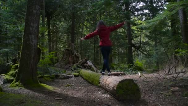 Touristin Balanciert Auf Umgestürztem Baum Wald — Stockvideo