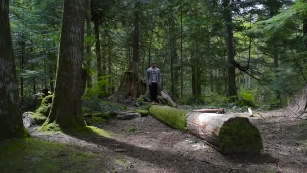 Ormana Düşmüş Ağaç Üzerinde Dengeleme Turist Adam — Stok video