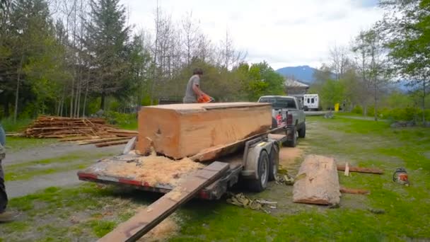 2017 Two Men Sawing Tree Mountains Canada — Stock Video