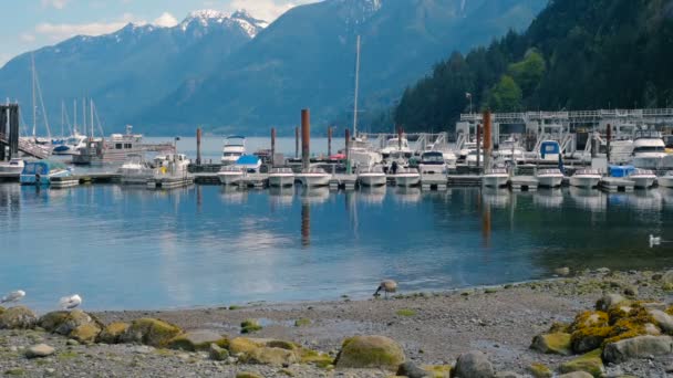 Beautiful View Seaside Yachts Boats Horseshoe Bay Canada — Stock Video
