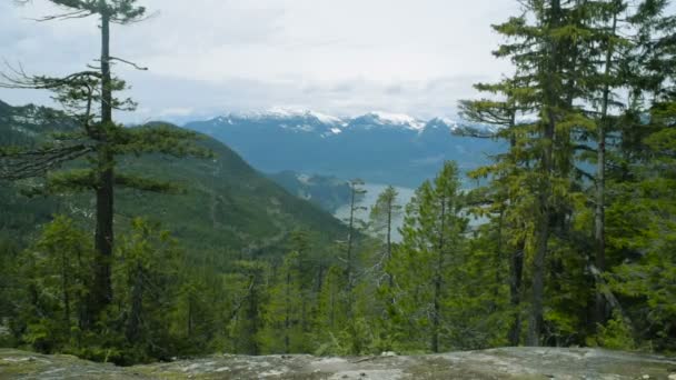 Bella Vista Panoramica Sulle Montagne Canada — Video Stock