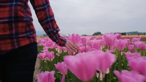 Junge Kaukasische Weibchen Gehen Schönen Tulpenfeld Den Bergen — Stockvideo