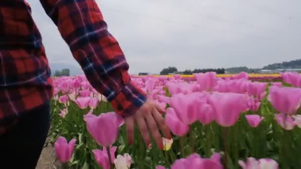 Joven Mujer Caucásica Caminando Hermoso Campo Tulipanes Las Montañas — Vídeo de stock